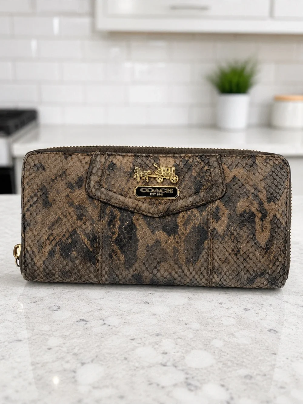 Coach Embossed Python/Snakeskin Leather Wallet